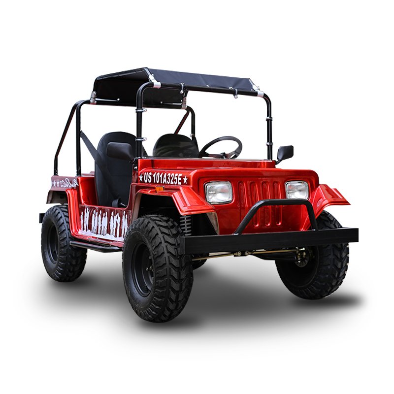 New Product 200cc Gasoline Mini Jeep Buggy ATV Adult Teenager Golf Cart