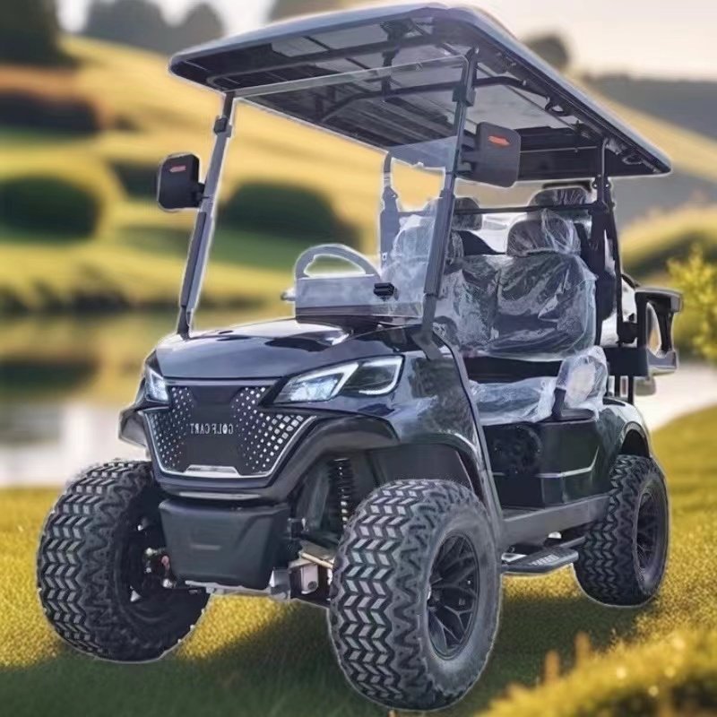 2 4 6 Seat Electric Lithium Battery Sightseeing Golf Cart Golf Buggy Car With DOT and CE