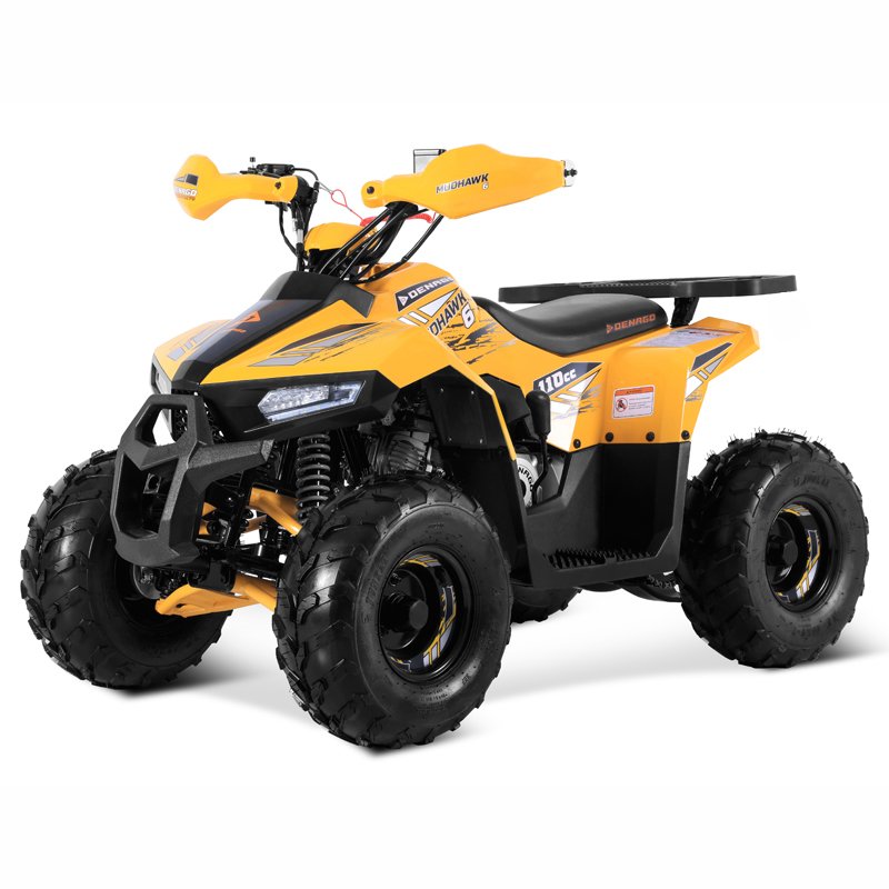 Tao Motor 2025 New 110cc ATV Quad Bike Cuatrimoto Cheap Chinese Kids 110cc ATV with EPA CE