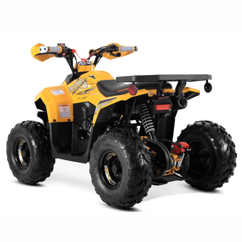 Tao Motor 2025 New 110cc ATV Quad Bike Cuatrimoto Cheap Chinese Kids 110cc ATV with EPA CE