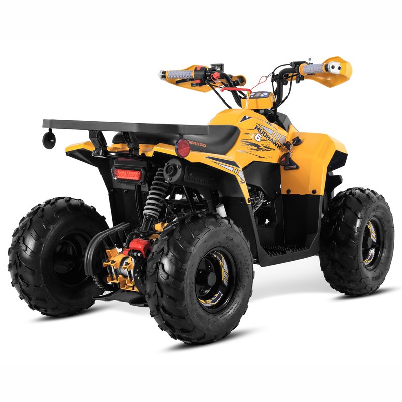 Tao Motor 2025 New 110cc ATV Quad Bike Cuatrimoto Cheap Chinese Kids 110cc ATV with EPA CE