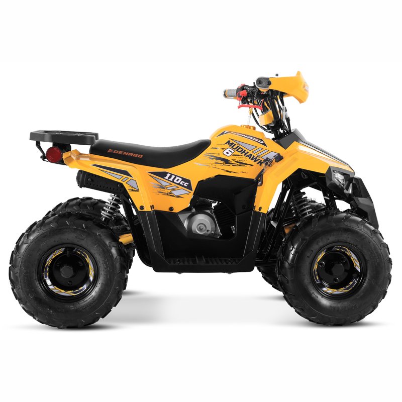 Tao Motor 2025 New 110cc ATV Quad Bike Cuatrimoto Cheap Chinese Kids 110cc ATV with EPA CE