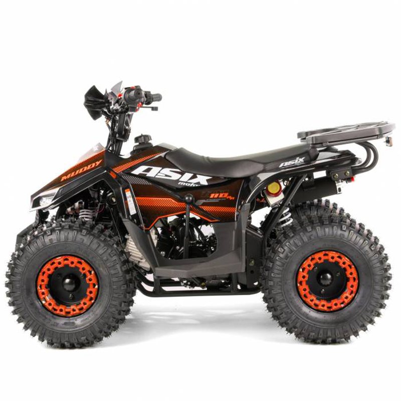 Tao Motor 2024 ATV 110 Kids Four-wheeler Automatic with Reverse Farm 110cc ATV