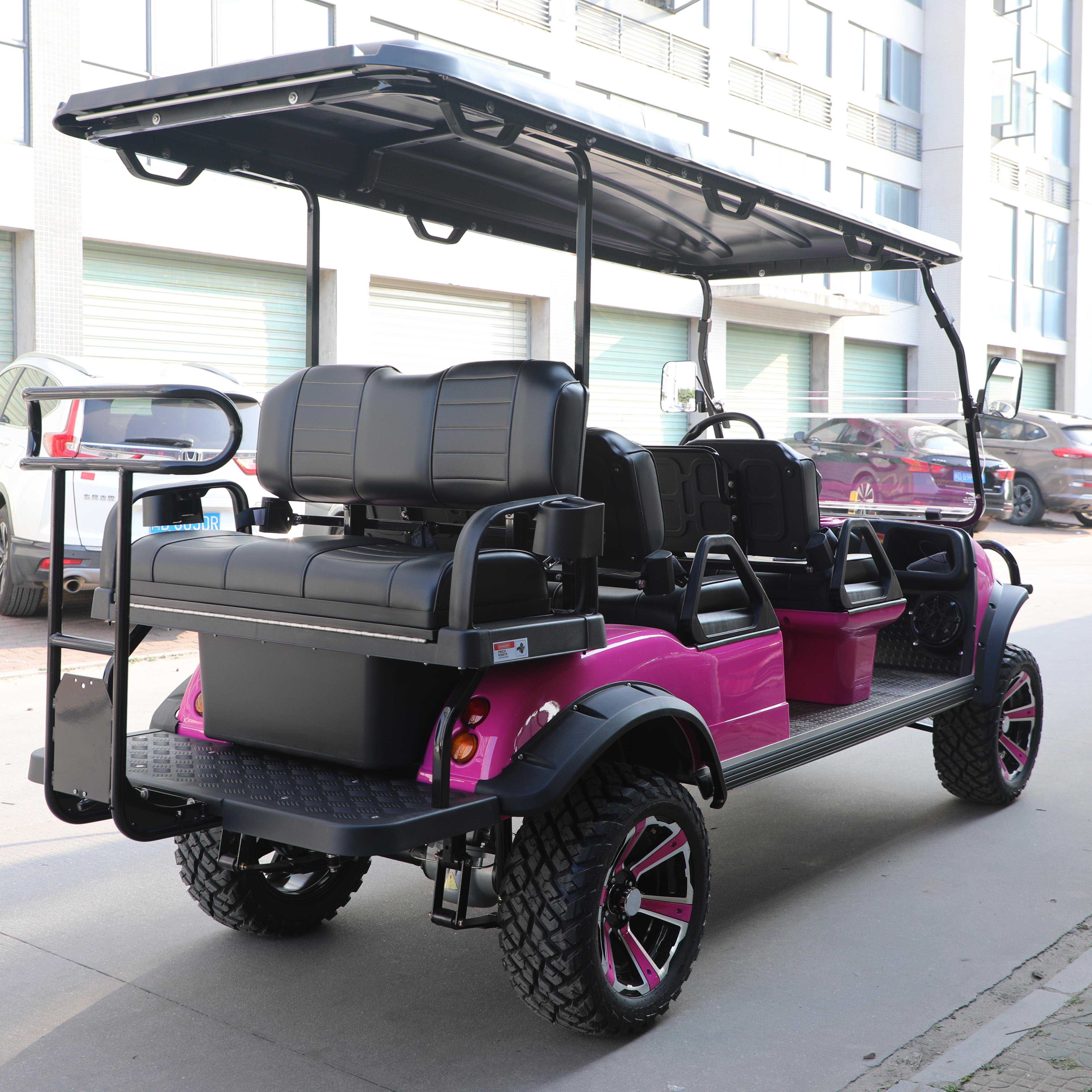 New Model Style Sightseeing Car 48V Battery Vehicle Scooter Foldable Tourist Fast Speed HDK EVOLUTION Electric Golf Cart