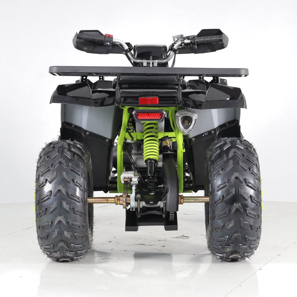 Tao Motor 200cc ATV Farm Quad Bike ATVs &UTVs Buggy Car 4x4 Trike