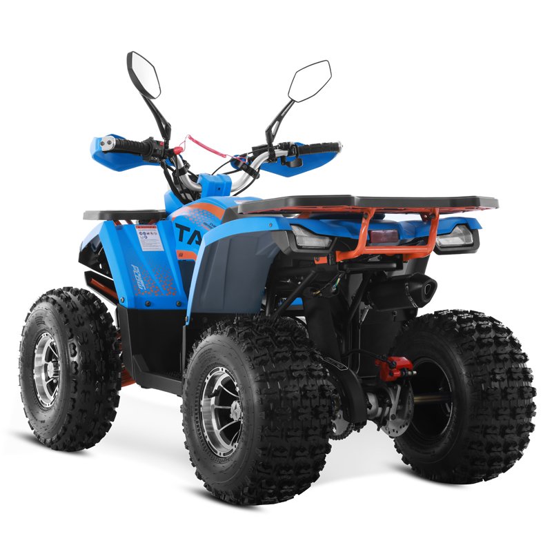 Tao Motor New Alloy Rim Chain Drive Cheap Farm ATV 125