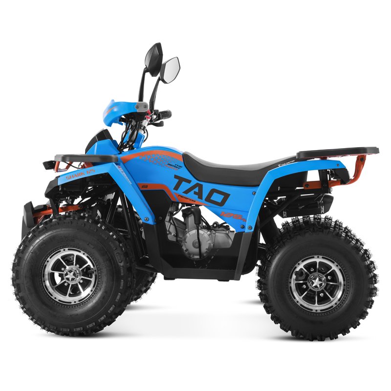Tao Motor New Alloy Rim Chain Drive Cheap Farm ATV 125