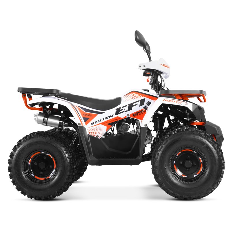 Tao Motor New EFI Electronic Fuel Injection ATV 125 Cheap Chinese Automatic with Reverse Chain Drive Farm ATV 125cc ATV