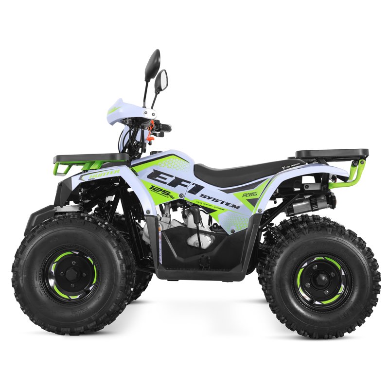 Tao Motor 2024 New EFI Electronic Fuel Injection 110cc Cheap Chinese Automatic with Reverse Chain Drive Farm ATV 125cc ATV