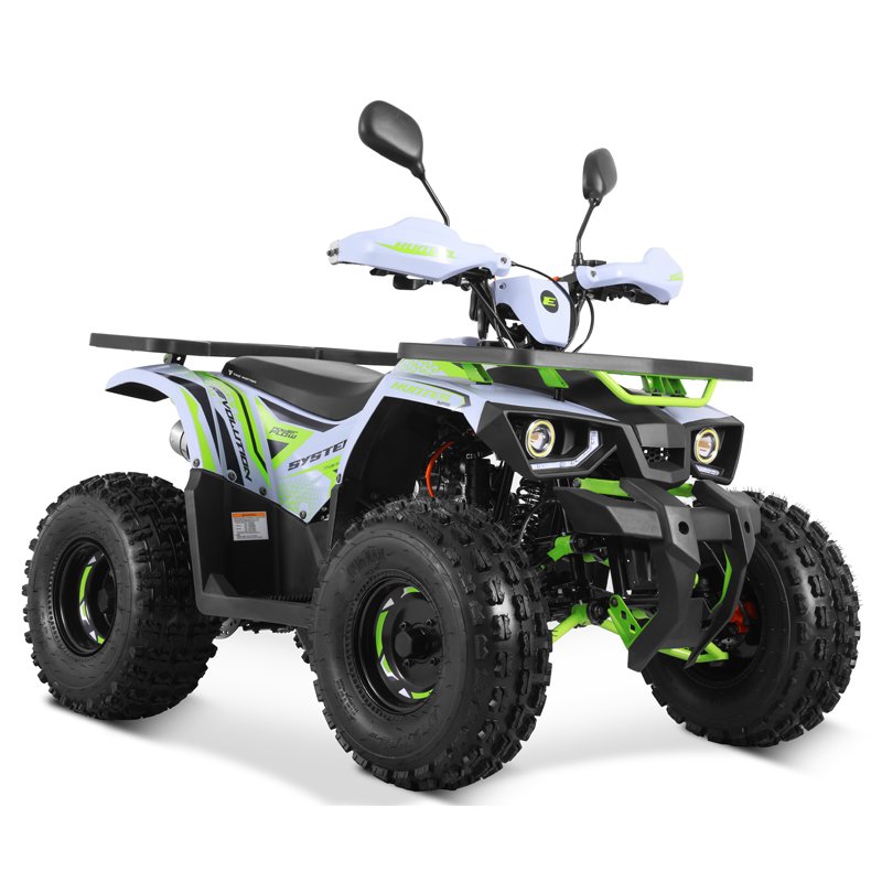 Tao Motor 2024 New EFI Electronic Fuel Injection 110cc Cheap Chinese Automatic with Reverse Chain Drive Farm ATV 125cc ATV