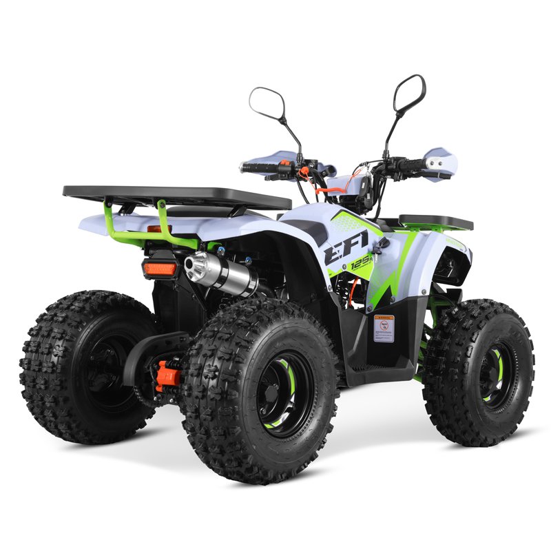 Tao Motor 2024 New EFI Electronic Fuel Injection 110cc Cheap Chinese Automatic with Reverse Chain Drive Farm ATV 125cc ATV