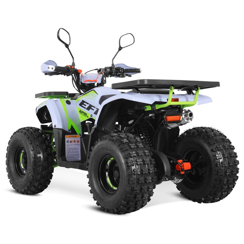 Tao Motor 2024 New EFI Electronic Fuel Injection 110cc Cheap Chinese Automatic with Reverse Chain Drive Farm ATV 125cc ATV