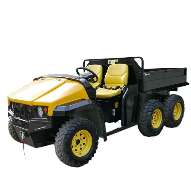 Battery powered 5kw AC motor 2 Seat Electric Lifted Off Road Golf Cart Buggy