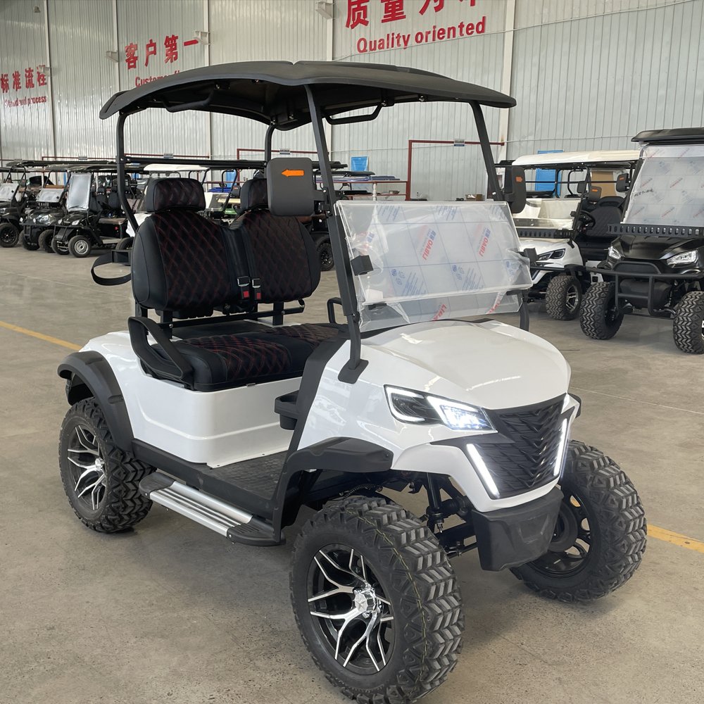 China 2 Seater Golf Cart Vehicle Golf Buggy Club Car Party Bus 4 Wheel Electric Lifted Golf Cart with CE Approved