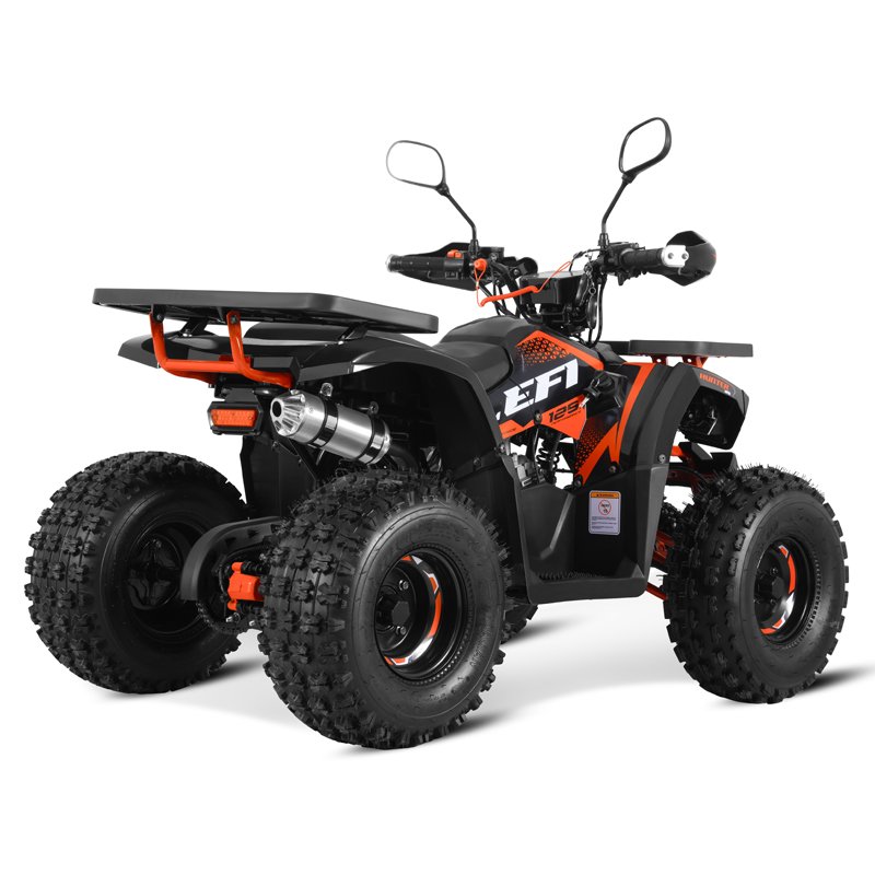 Tao Motor 2024 New EFI Electronic Fuel Injection ATV 125 Cheap Chinese Automatic with Reverse Chain Drive Farm ATV 125cc ATV