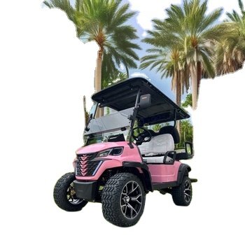 Canton Fair Exhibitor 4-Seater 48V115AH Lithium Battery Electric Golf Cart Street Legal Mobility Scooter with DOT Certificate
