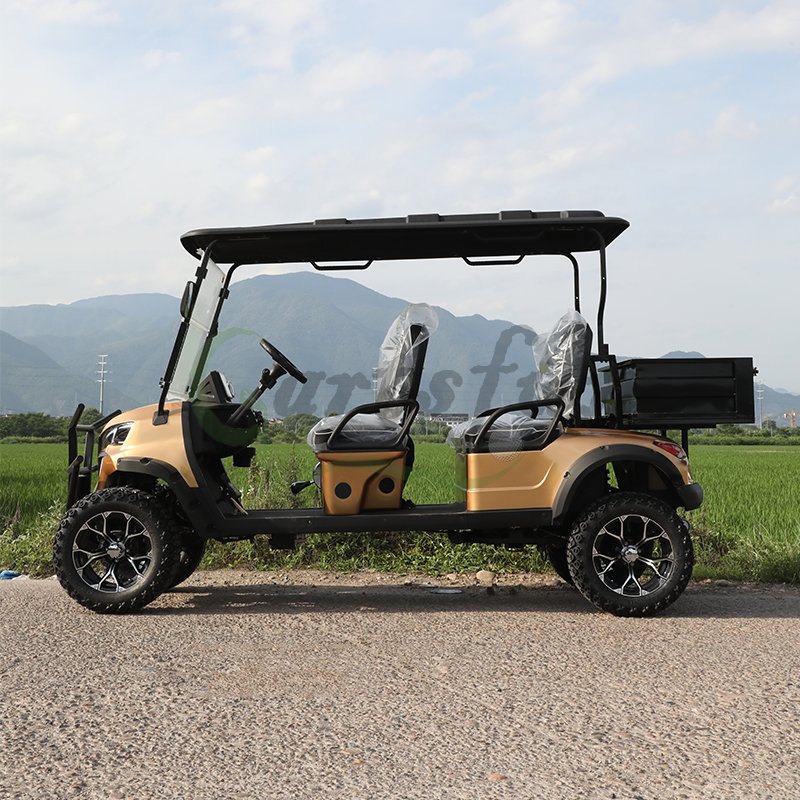 Cheap 300cc Gasoline Powered Mini Buggy Off Road Golf Cart For Sale Price