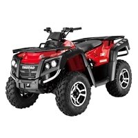 Tao Motor New Design 300cc ATV Quad Bikes 400cc Automatic 4WD Electric Start Moto 1000cc Atv 4x4 Atv 125cc