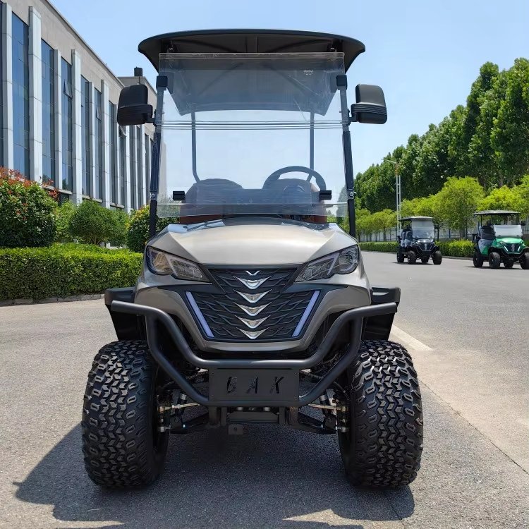 Cheap Price Off Road Street Legal Golf Cart Buggy 2 Seater Golf Electric Cart