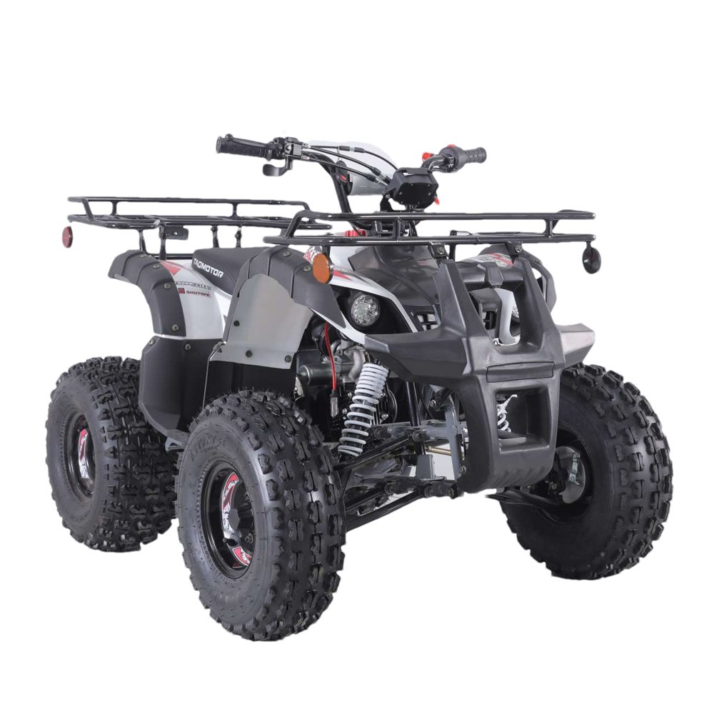 Tao Motor Quad Bike Atv Customized for Kids Automatic 110cc 125cc 12V 5AH 1000cc Atv 4x4 Cforce Front Disc+rear Drum 2WD