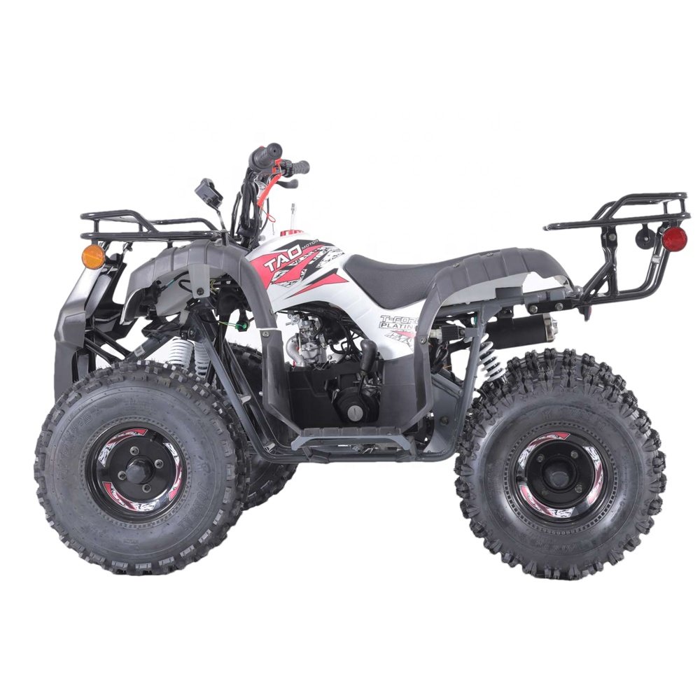 Tao Motor Quad Bike Atv Customized for Kids Automatic 110cc 125cc 12V 5AH 1000cc Atv 4x4 Cforce Front Disc+rear Drum 2WD