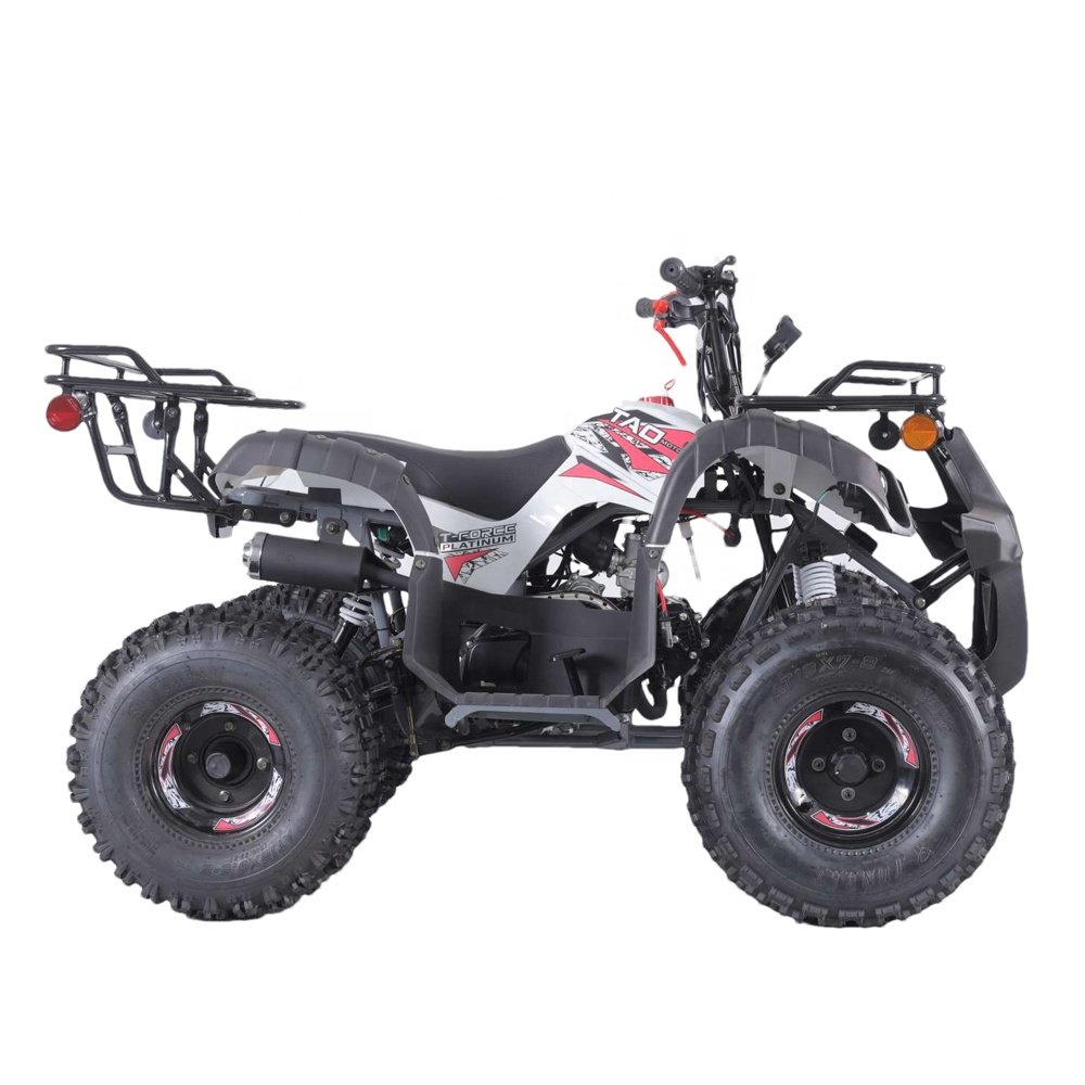Tao Motor Quad Bike Atv Customized for Kids Automatic 110cc 125cc 12V 5AH 1000cc Atv 4x4 Cforce Front Disc+rear Drum 2WD
