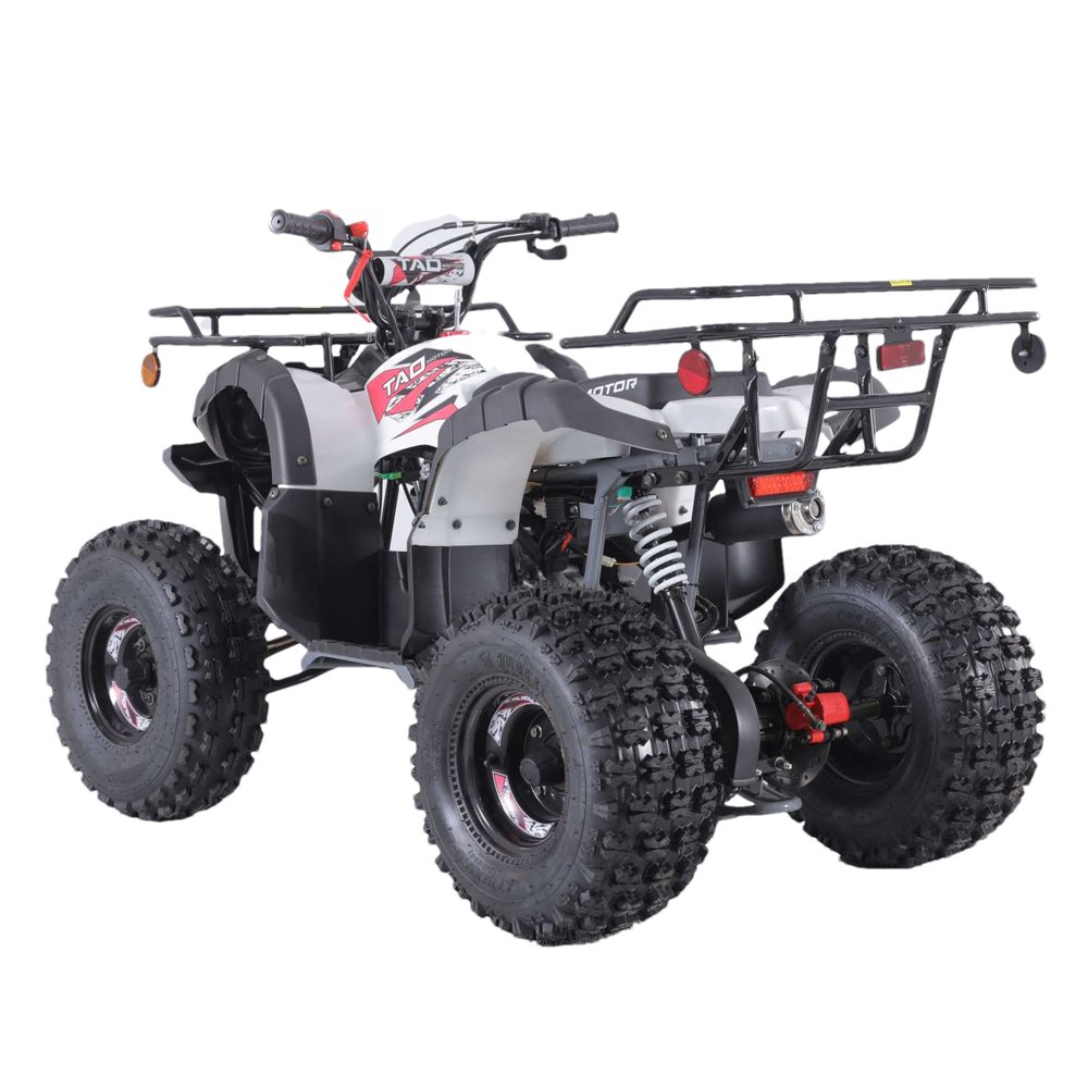 Tao Motor Quad Bike Atv Customized for Kids Automatic 110cc 125cc 12V 5AH 1000cc Atv 4x4 Cforce Front Disc+rear Drum 2WD