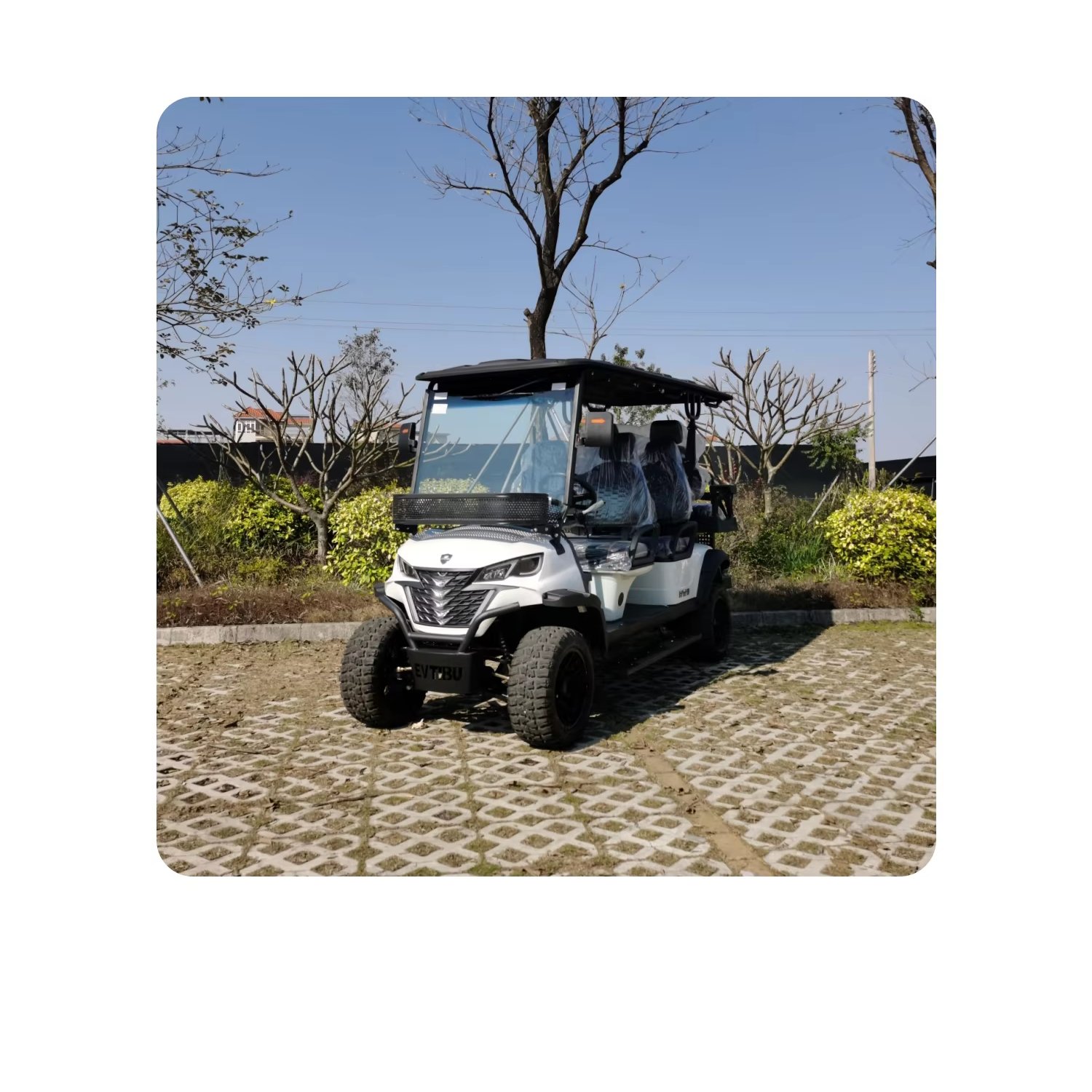 Powerful Electric Utility Vehicle Electric Golf Cart Lifted Golf Cart