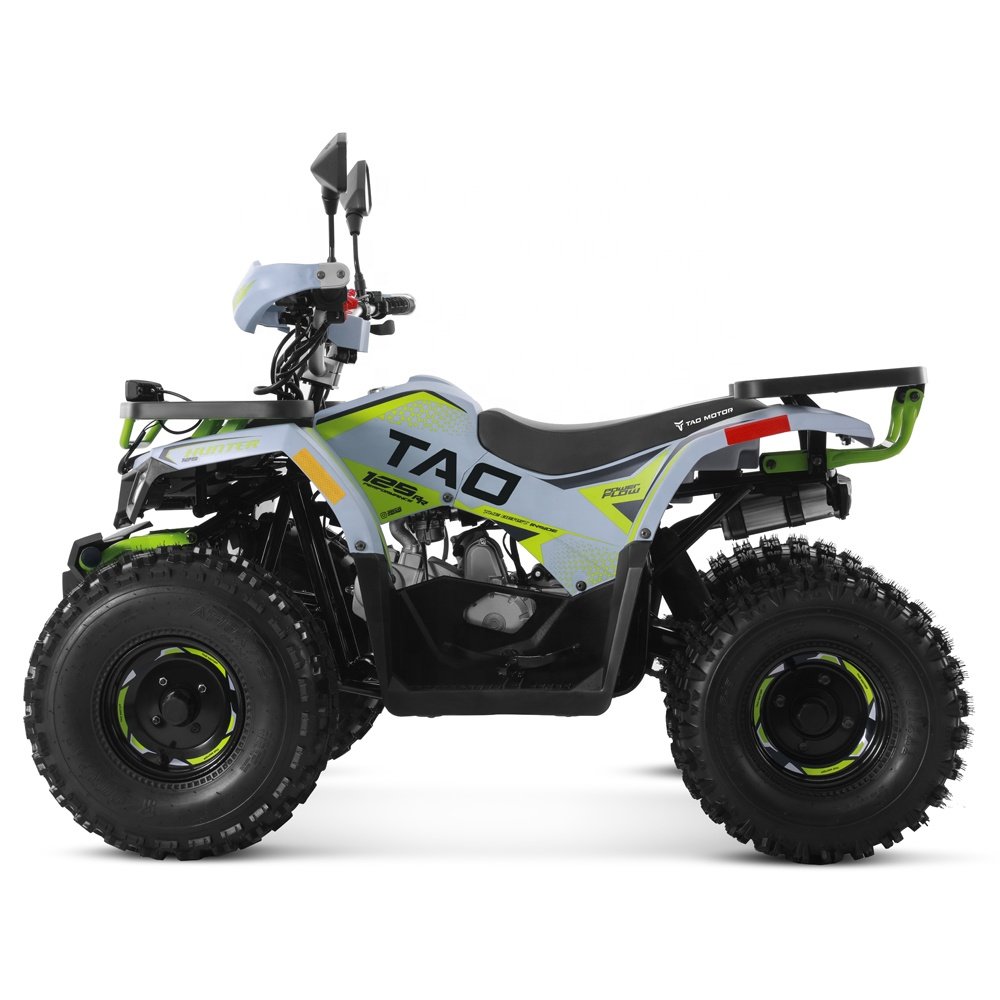 Tao Motor 2024 Off-road Farm Cheap Gas Powered Cuatrimoto Quadricycle Automatic 4 stroke engine 110cc 125cc ATV for Kids