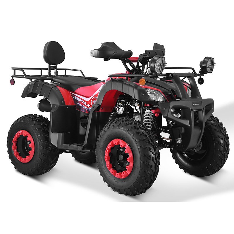 Tao Motor 2024 New 4x4 Farm Use Side by Side Chain Drive Adult 2 Seat 250cc ATV