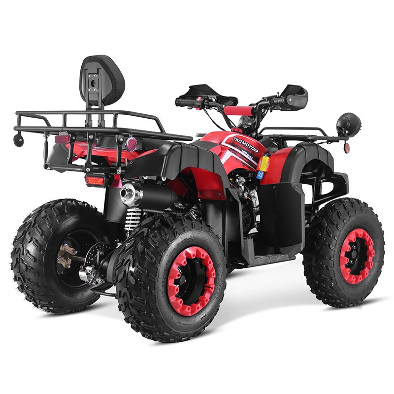 Tao Motor 2024 New 4x4 Farm Use Side by Side Chain Drive Adult 2 Seat 250cc ATV