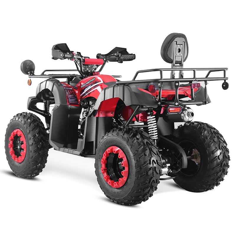Tao Motor 2024 New 4x4 Farm Use Side by Side Chain Drive Adult 2 Seat 250cc ATV