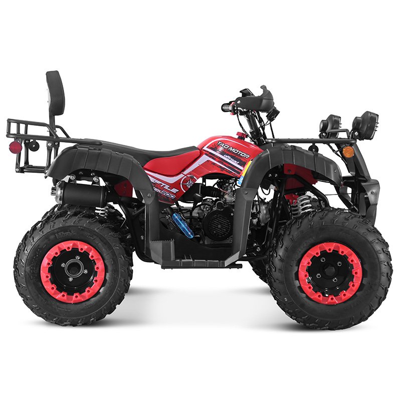 Tao Motor 2024 New 4x4 Farm Use Side by Side Chain Drive Adult 2 Seat 250cc ATV