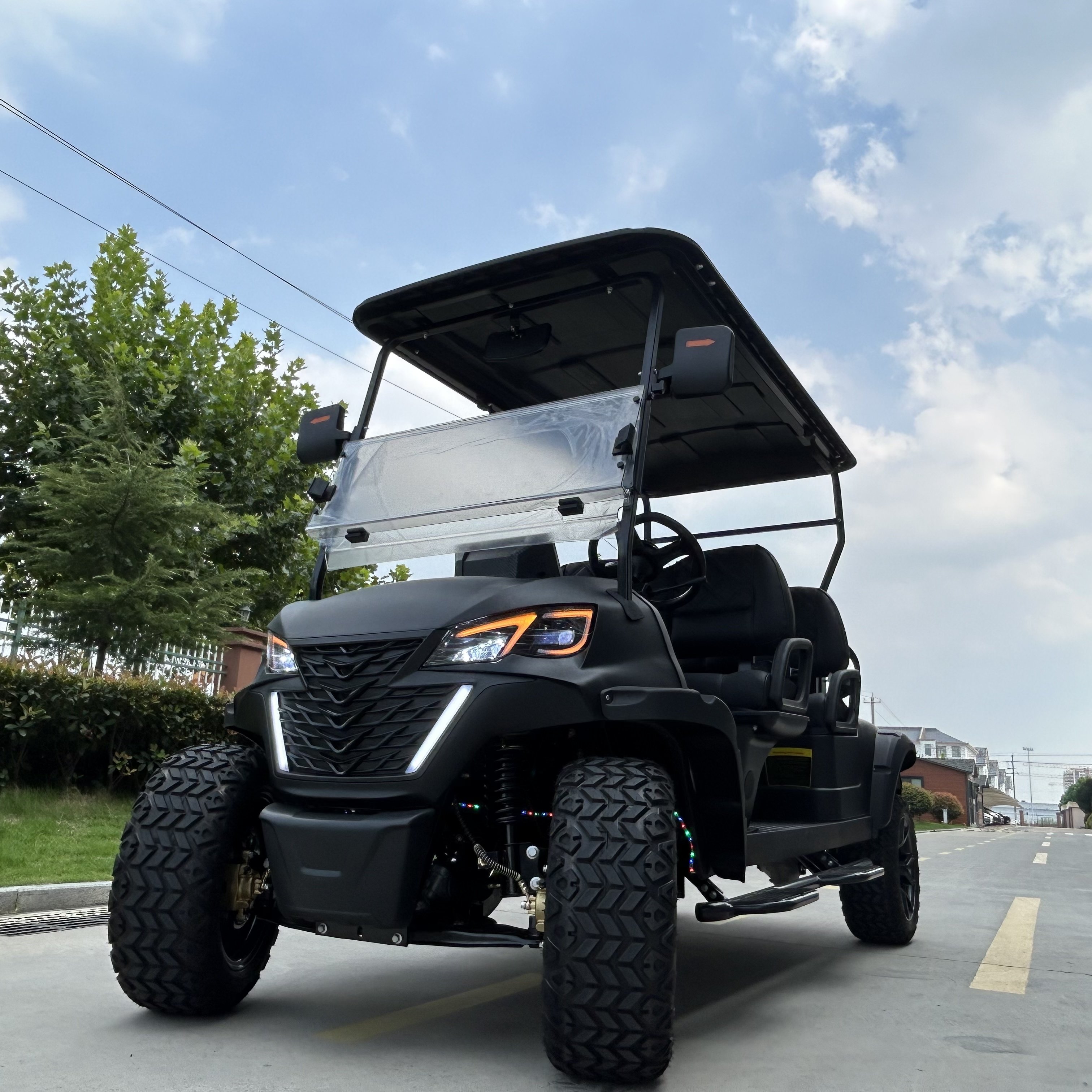 China Manufacture 4 Stroke Engine Golf Carts Farm Used Electric Car Lithium Battery