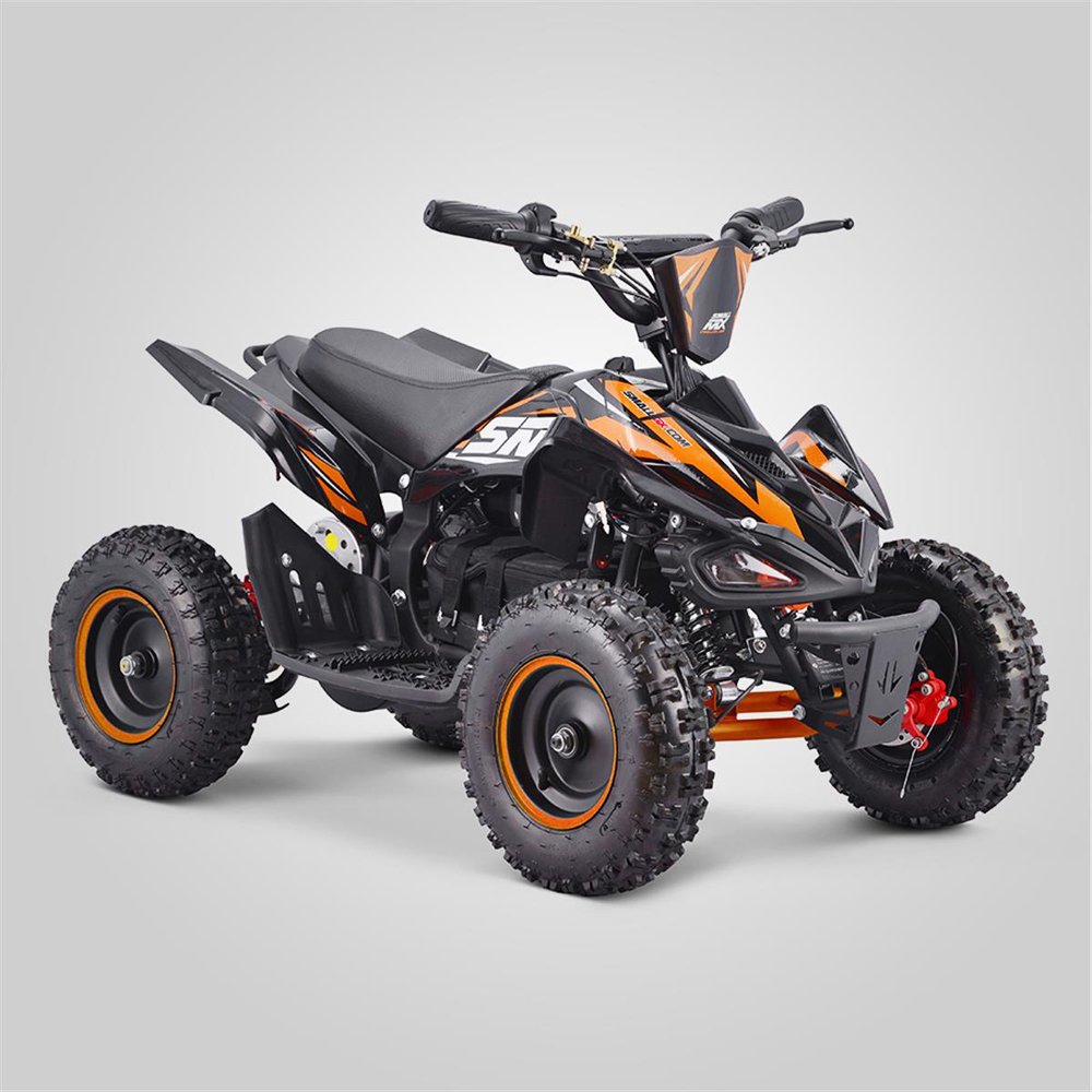 Tao Motor cuatrimotos Electric UTV ATV Electric