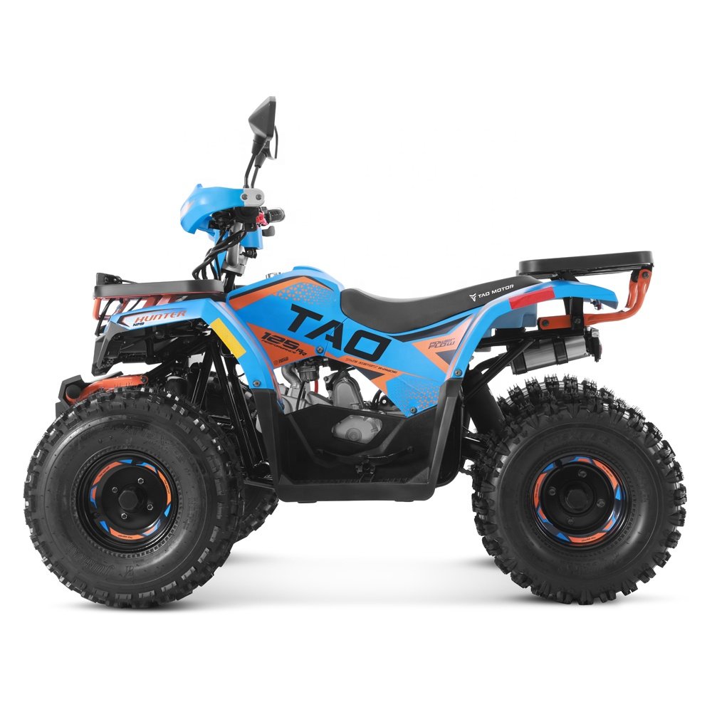 Tao Motor 2024 Farm Cheap Quad Bike Automatic Electric Start4 stroke engine 125cc ATV