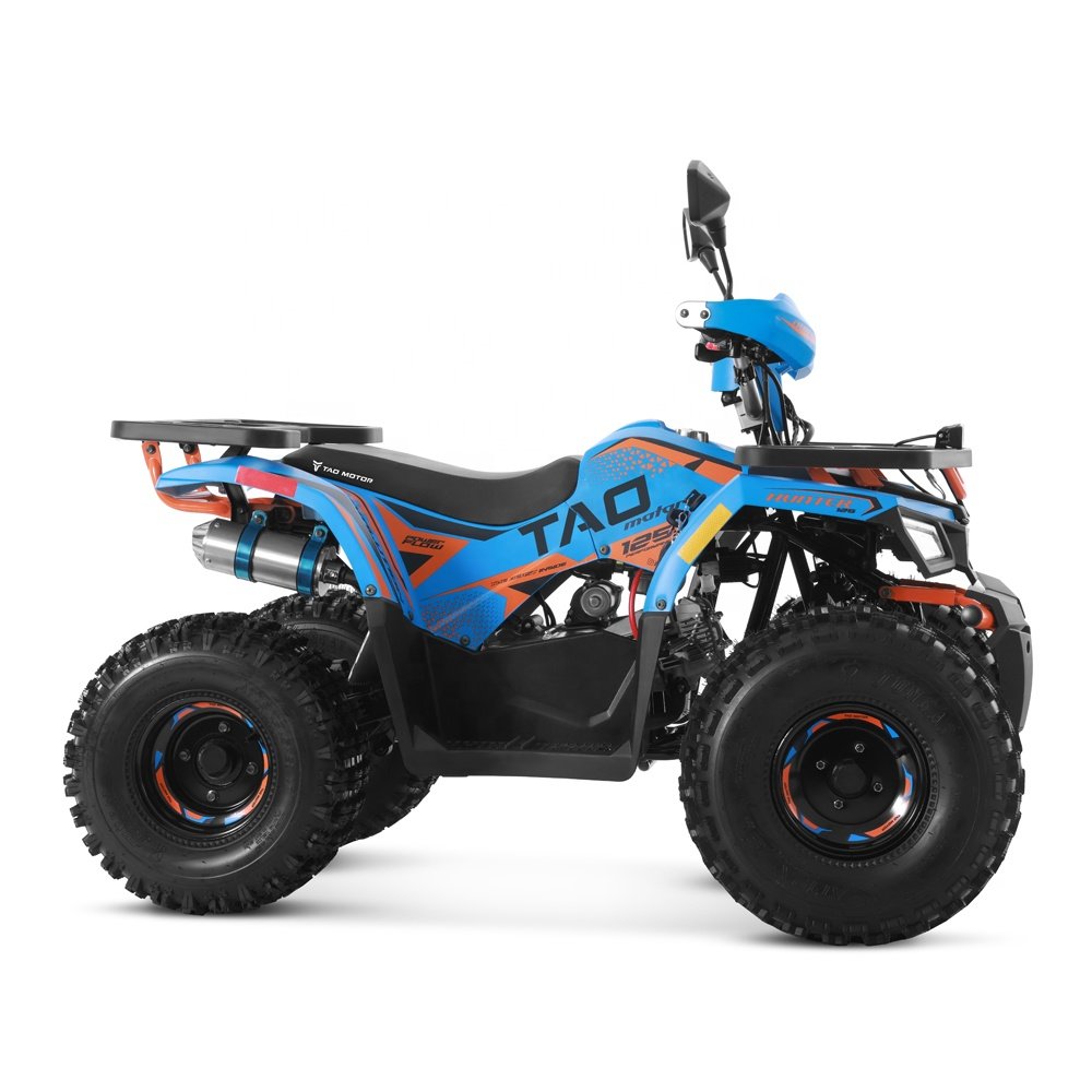 Tao Motor 2024 Farm Cheap Quad Bike Automatic Electric Start4 stroke engine 125cc ATV