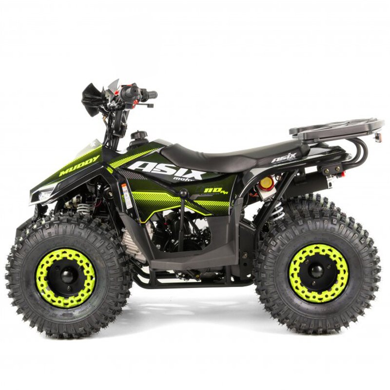 Tao Motor 2024 Automatic with Reverse Chain Drive Kid 110cc ATV for Children