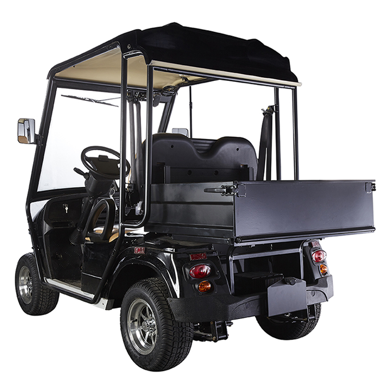 EG atv offroad off road hunting street legal lifted electric golf cart carts