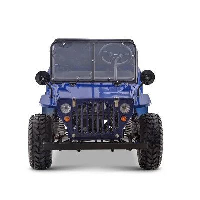 TELEEMOTO 2024 New 150cc Adult 4 Wheeler 10inch Tire Electric Start ATV 125cc Gasoline Quad Farm Quad Special Transportation