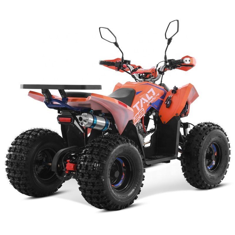 Tao Motor 2024 New Chain Drive Kids Sport 110cc 125cc ATV 125