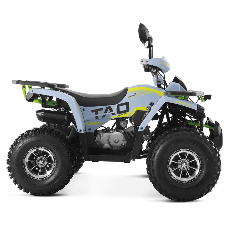 Tao Motor 2025 New Alloy Rim Chain Drive Automatic 1+1 125cc ATV Chinese Cheap Farm ATV 125