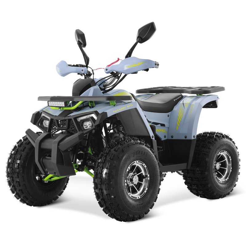 Tao Motor 2025 New Alloy Rim Chain Drive Automatic 1+1 125cc ATV Chinese Cheap Farm ATV 125