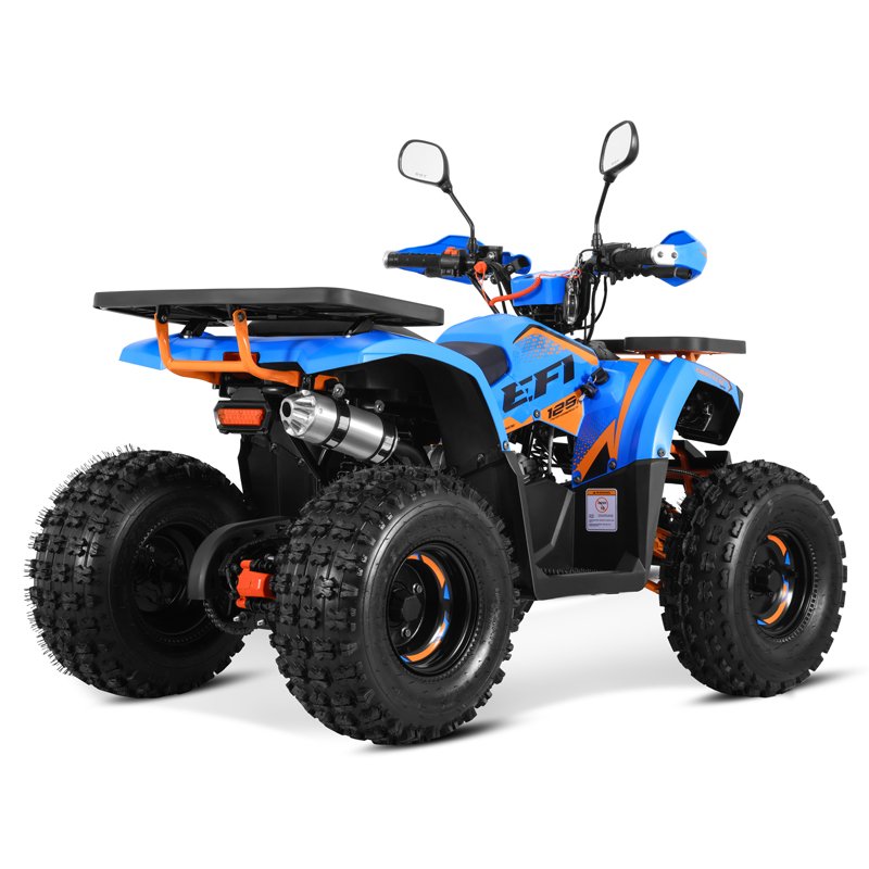 Tao Motor 2024 New EFI Electronic Fuel Injection ATV 125 Cheap Chinese Automatic with Reverse Chain Drive Farm ATV 125cc ATV
