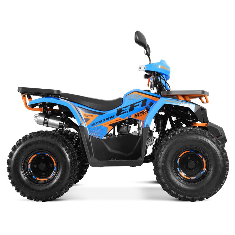 Tao Motor 2024 New EFI Electronic Fuel Injection ATV 125 Cheap Chinese Automatic with Reverse Chain Drive Farm ATV 125cc ATV
