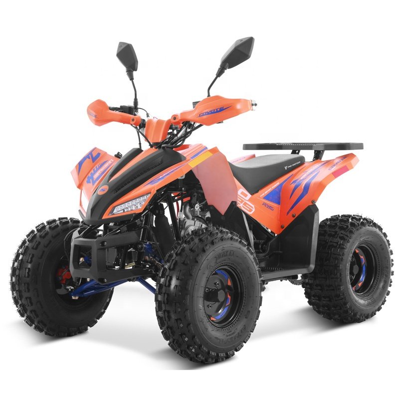 Tao Motor 2024 New atv/utv parts Sport 110cc 125cc ATV 125