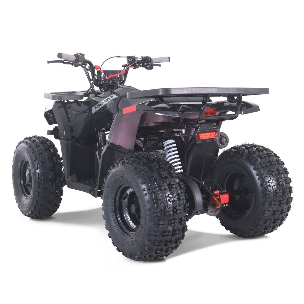 Tao Motor 2024 New Cheap ATV Kids 110cc Automatic Chain Drive ATV