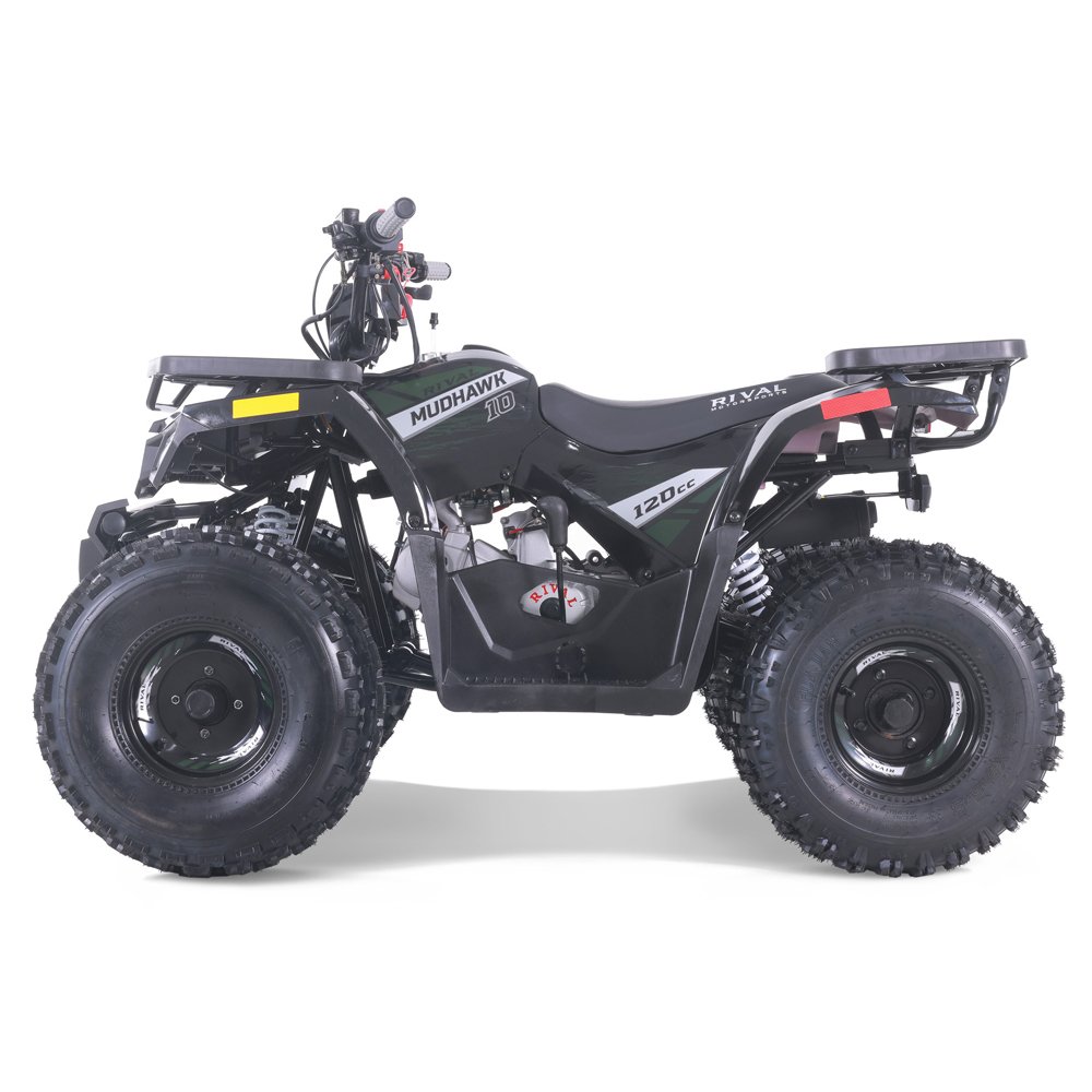 Tao Motor 2024 New Cheap ATV Kids 110cc Automatic Chain Drive ATV