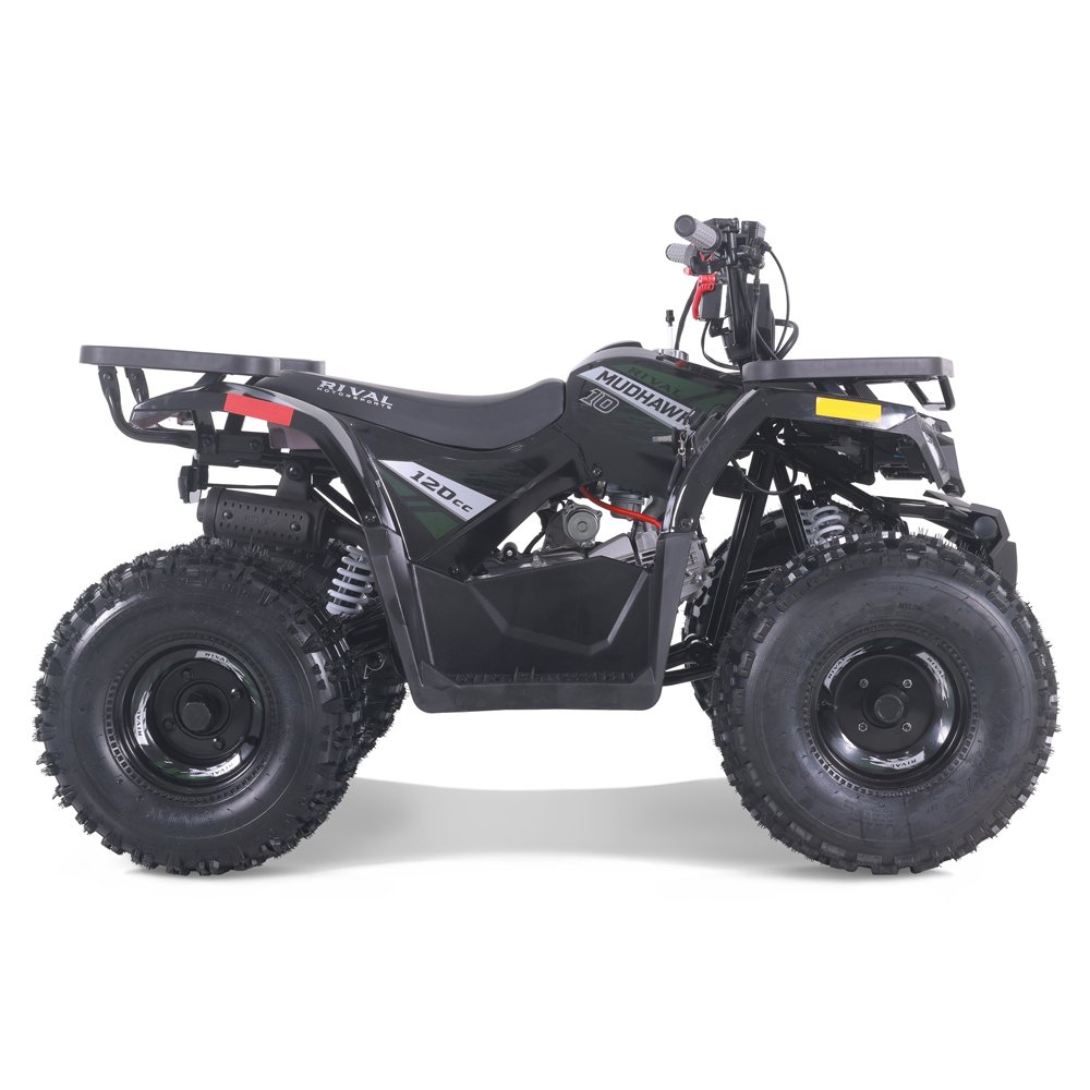 Tao Motor 2024 New Cheap ATV Kids 110cc Automatic Chain Drive ATV