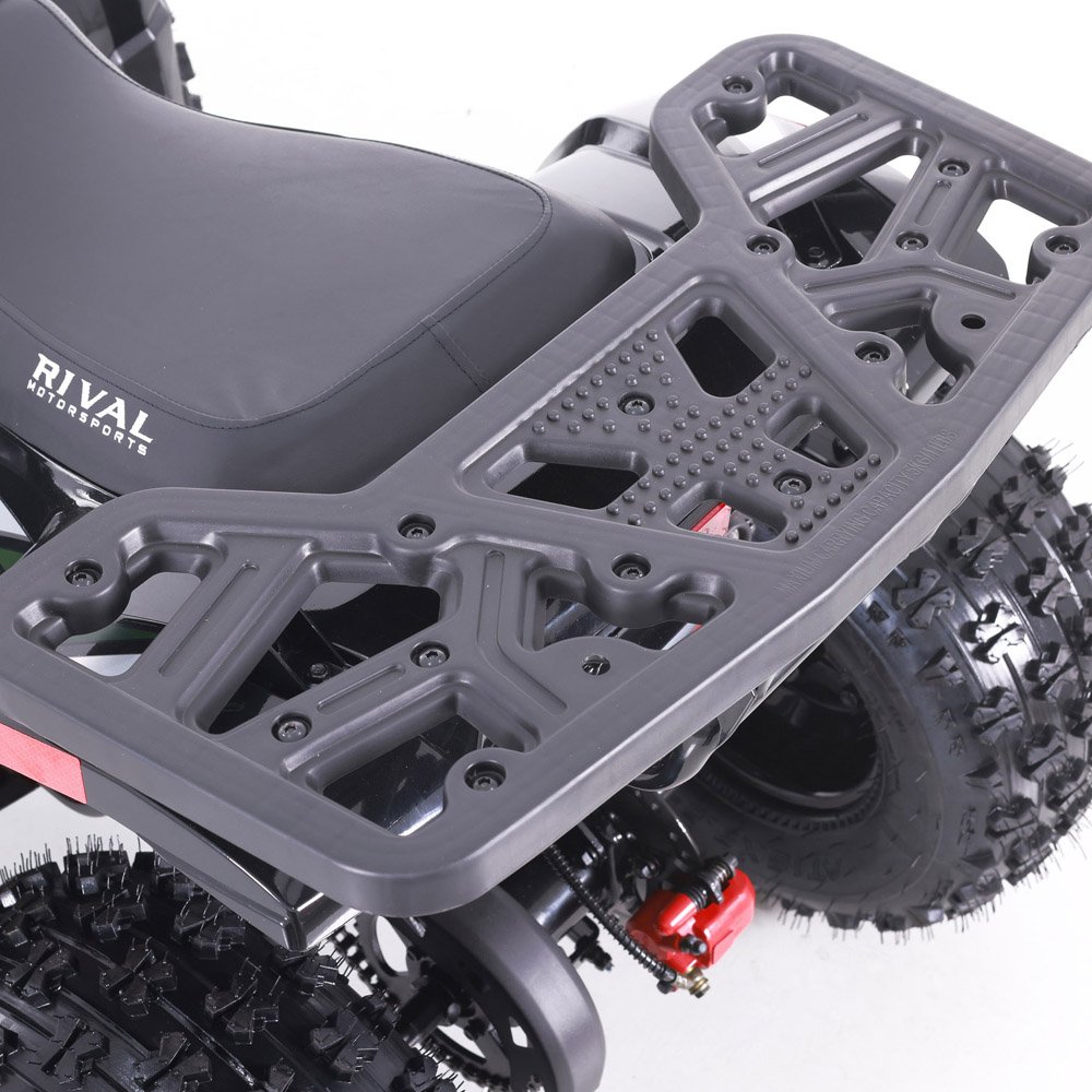 Tao Motor 2024 New Cheap ATV Kids 110cc Automatic Chain Drive ATV